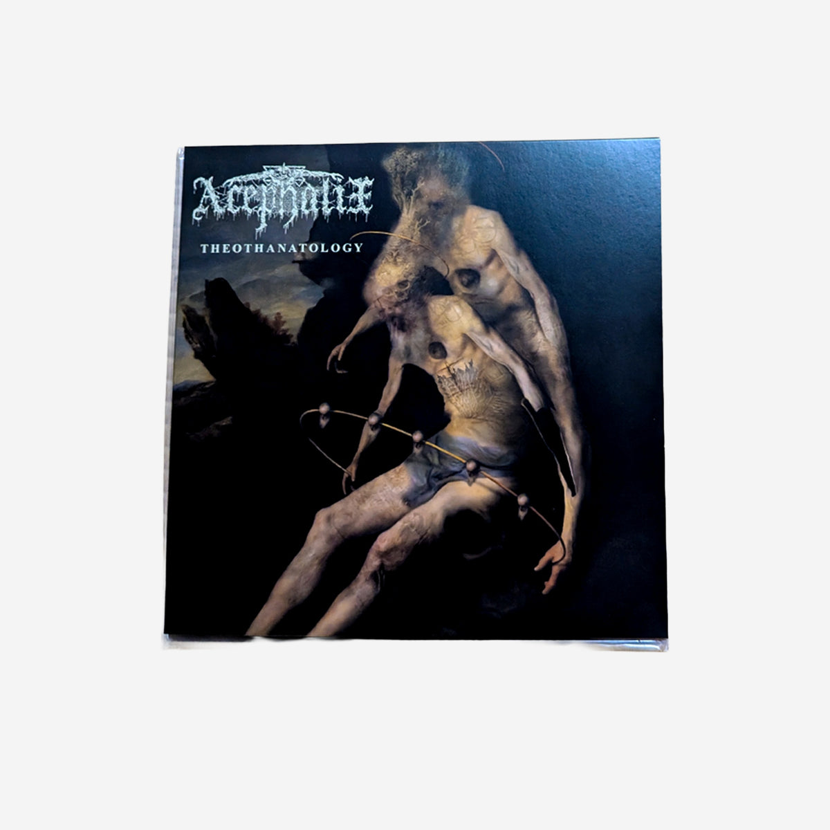 ACEPHALIX / Theothanatology LP レコード - ALBUM RICEレコード