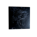 FULL OF HELL & PRIMITIVE MAN / Suffocating Hallucination LP