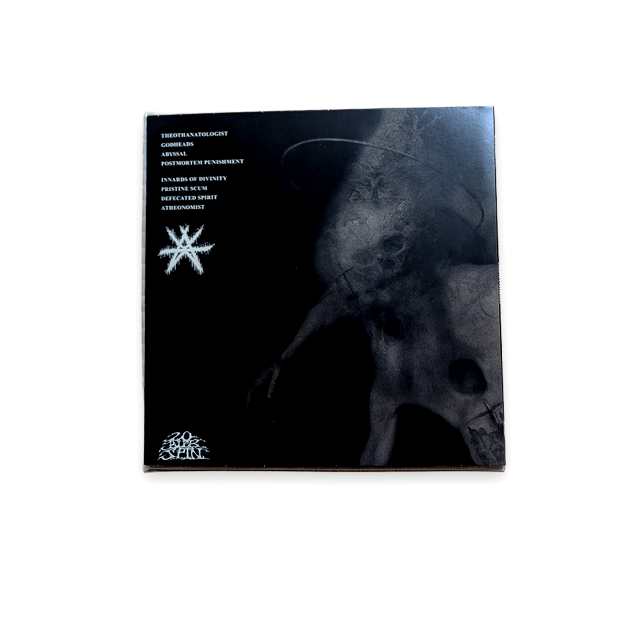 ACEPHALIX / Theothanatology LP レコード - ALBUM RICEレコード