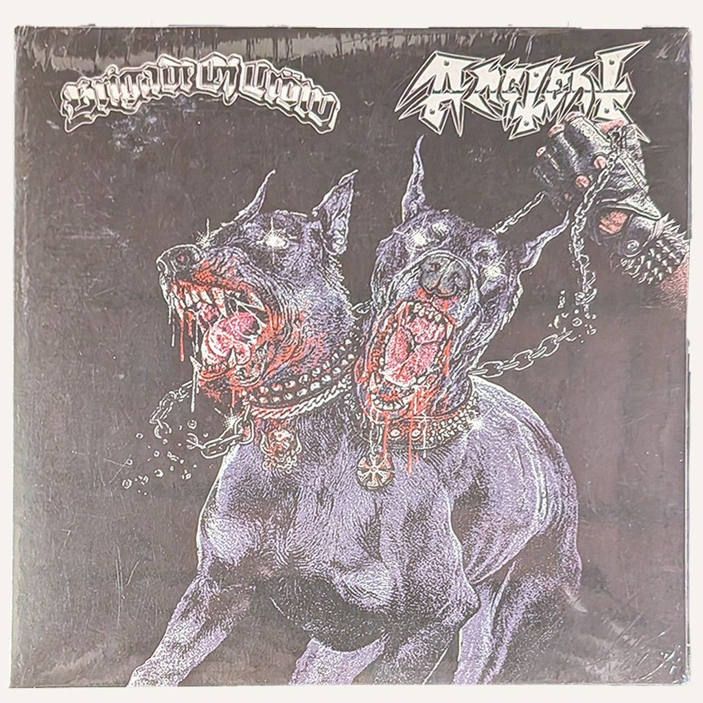 ANCIENT / BRIGADE OF CROW – SPLIT SINGLE 7″ レコード - ALBUM RICEレコード
