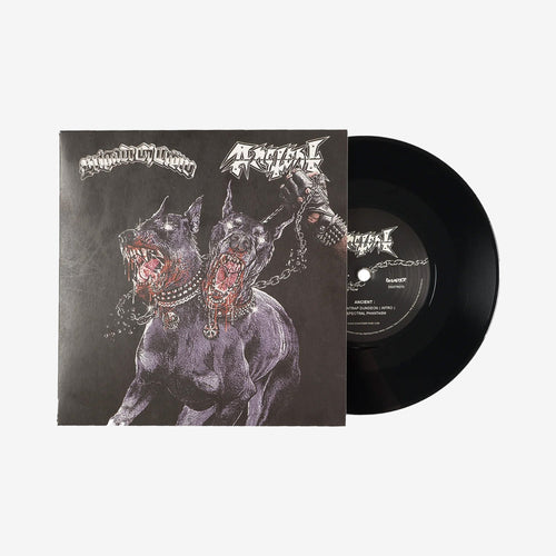 ANCIENT / BRIGADE OF CROW – SPLIT SINGLE 7″ レコード - ALBUM RICEレコード