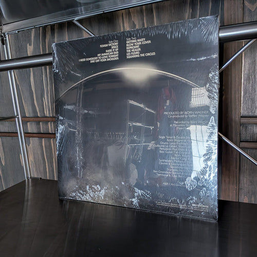 Bacao Rhythm & Steel Band – Expansions｜Deep Emerald Vinyl LP レコード - ALBUM RICEレコード