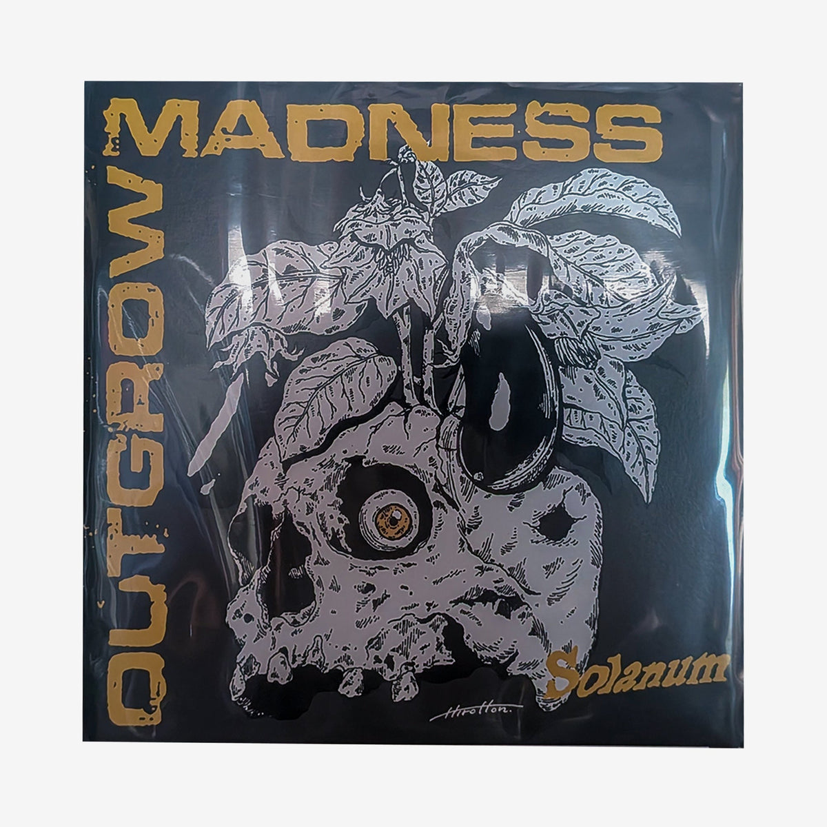 Outgrow Madness – Solanum レコード