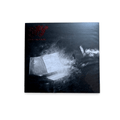 SPY / Seen Enough 12" EP レコード - ALBUM RICEレコード